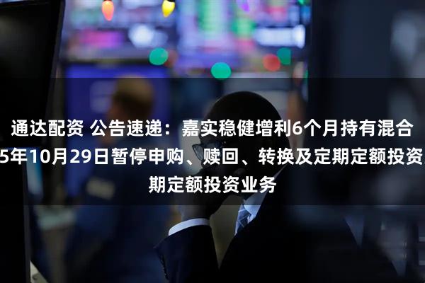 通达配资 公告速递：嘉实稳健增利6个月持有混合2025年10月29日暂停申购、赎回、转换及定期定额投资业务