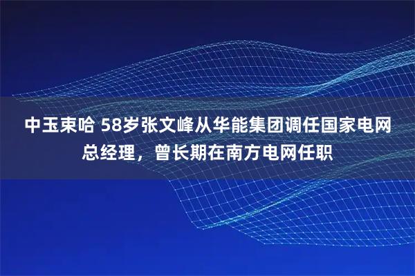 中玉束哈 58岁张文峰从华能集团调任国家电网总经理，曾长期在南方电网任职