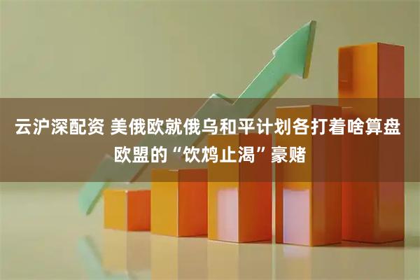 云沪深配资 美俄欧就俄乌和平计划各打着啥算盘 欧盟的“饮鸩止渴”豪赌